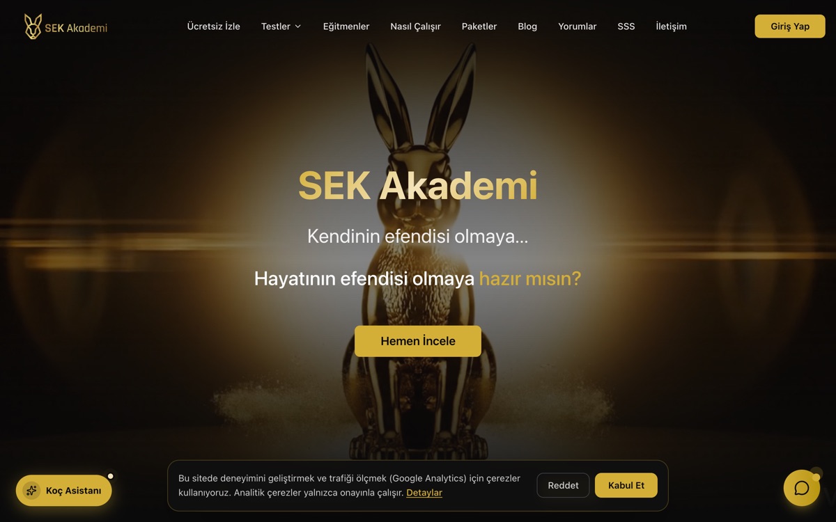 SEK Akademi web sitesi
